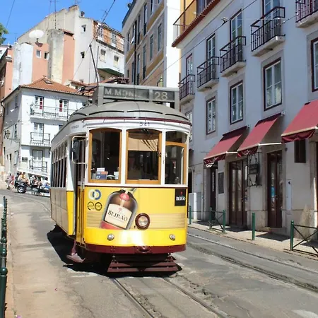 Graça Garden *